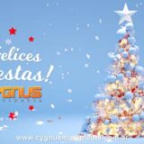 Felices Fiestas!!!